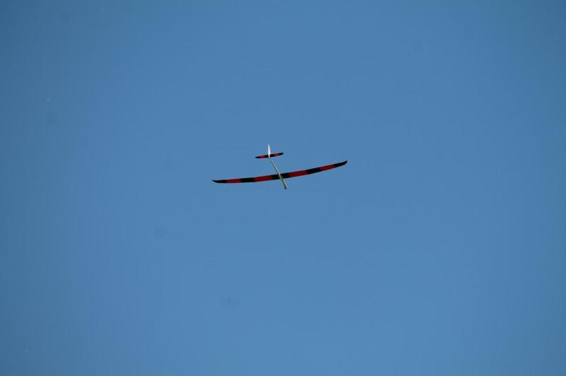 Skaliertes Bild IMG_6404.JPG 